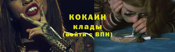 СК Дмитров
