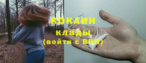 mix Ельня