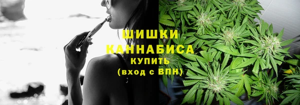 дмт Елизово